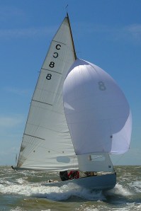 Egret at full pace - Photo courtesy of Nigel Edmunds