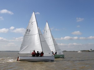 WhiteSpirit+StormPetrel