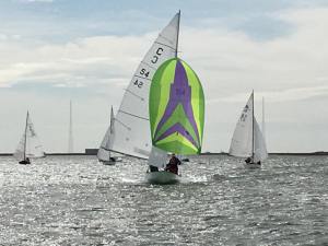 14238216_1797491940497105_526723244955923070_n